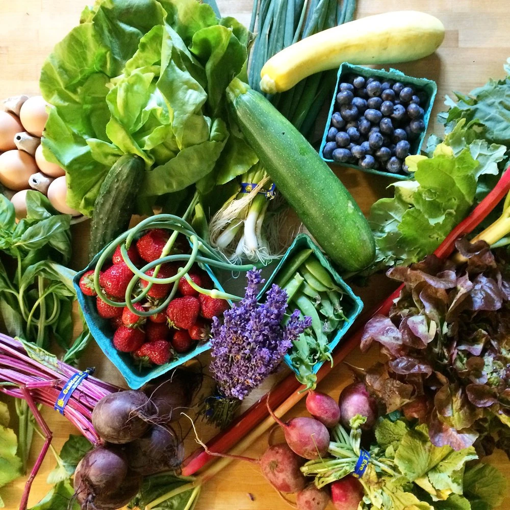 Want to get better at cooking home meals? Learn secret ingredients that make your food worth eating? Need some handy pointers on meal prep? A couple cooking lessons can get you where you need to be!